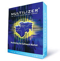Multilizer Professional for Documents screenshot